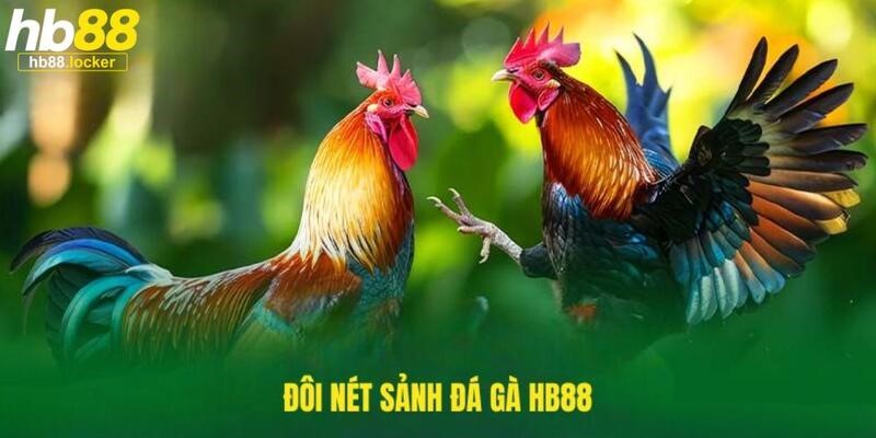 Đá Gà HB88 – Cá Cược Đá Gà Trực Tuyến Uy Tín 2026 2 Giới thiệu về lựa chọn hoàn hảo cho anh em