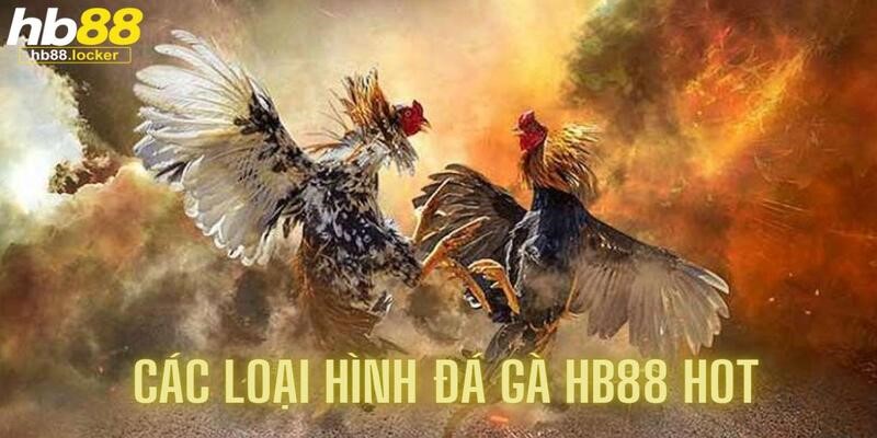 Đá Gà HB88 – Cá Cược Đá Gà Trực Tuyến Uy Tín 2026 4 Đá gà HB88 có rất nhiều hình thức cho người chơi lựa chọn