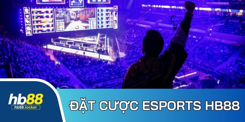 Esports HB88 – Sảnh Cược Thể Thao Điện Tử Hot Nhất 2026 5 Những hình thức cá cược hấp dẫn có trong mục Esports tại HB88