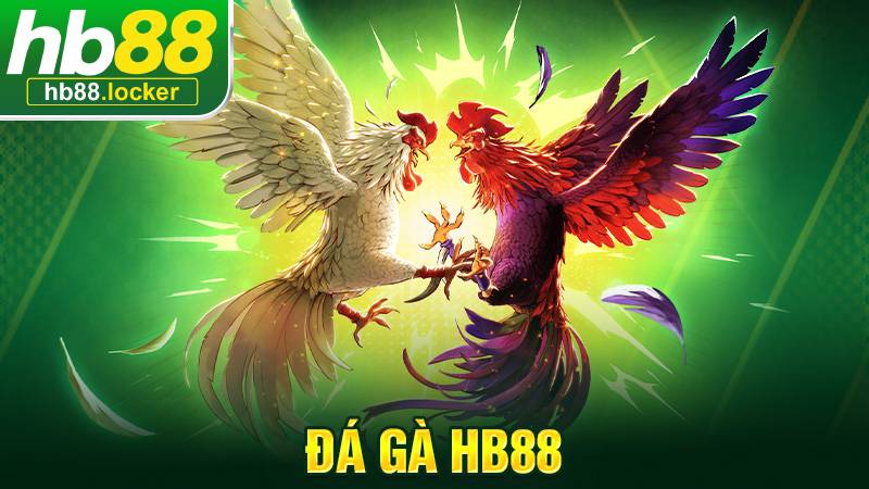 Đá Gà HB88 – Cá Cược Đá Gà Trực Tuyến Uy Tín 2026 1 Đá gà HB88